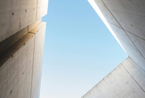 pexels-jean-daniel-28993983