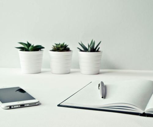 pexels-nietjuhart-796602